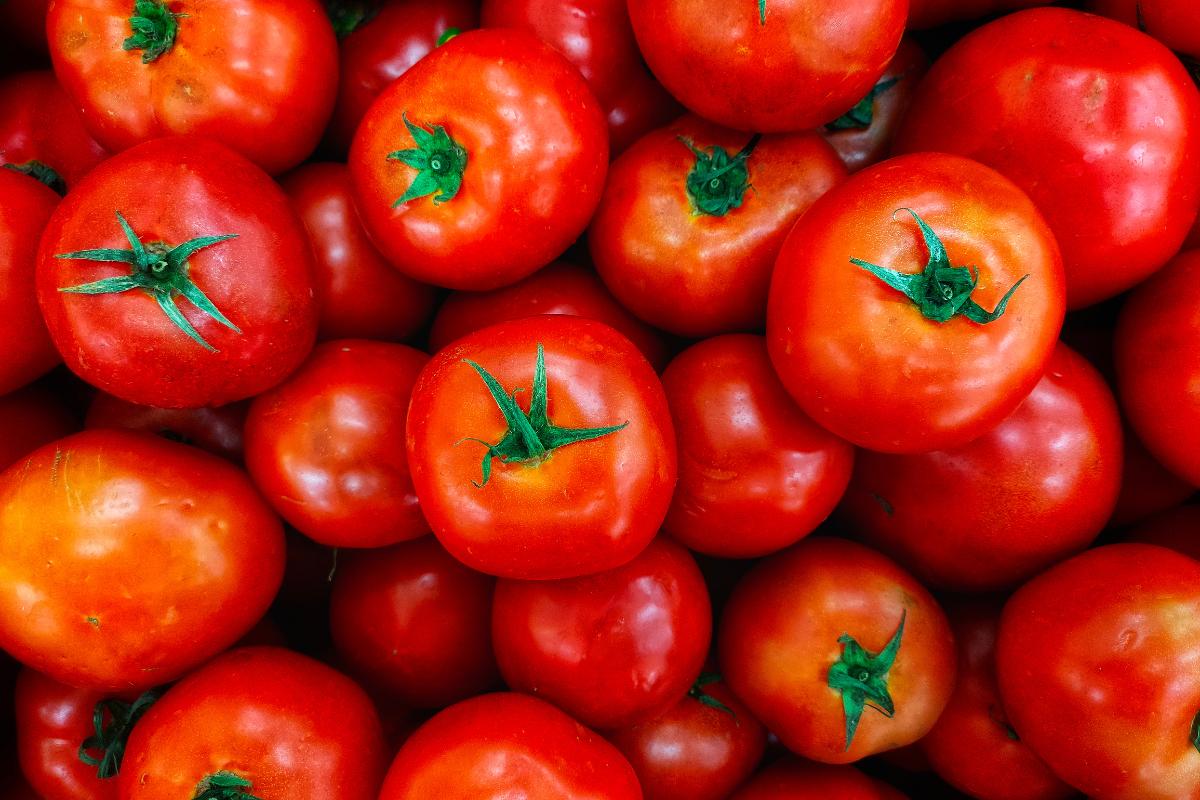Globe Tomatoes .jpeg